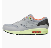Nike Air Max 1 FB Wolf Grey (579920-005)