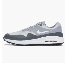 Nike Air Max 1 Golf Pure Platinum (AQ0863 002)