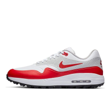 Nike Air Max 1 Golf (AQ0863 100)