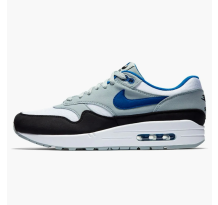Nike Air Max 1 (AH8145 102)