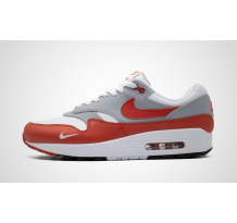 Nike Air Max 1 LV8 Martian Sunrise (DH4059-102)