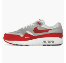 Nike Air Max 1 .SWOOSH Low Poly (HQ5882 100)