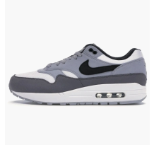 Nike Air Max 1 (AH8145-101)