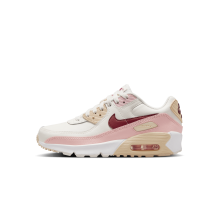 Nike Air Max 90 (HF6358-006)