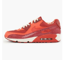 Nike Air Max 90 Steve Nash (314864-881)