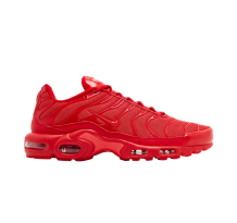 Nike Air Max Plus (604133-604)