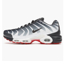Nike Air Max Plus The Bite (AQ0237-100)