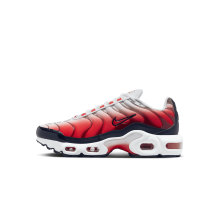 Nike nike air max deluxe navy red (FD9768-100)