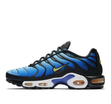 Nike Air Max Plus OG Hyper (BQ4629-003)