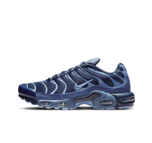 Nike Air Max Plus Obsidian Aluminum (IM6601-451)