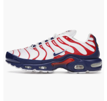 Nike Air Max Plus Usa (CZ9167 100)