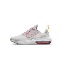 Nike Air Zoom Arcadia 2 (DM8491-003)