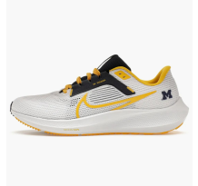 Nike Air Zoom Pegasus 40 Michigan (DZ6001 100)
