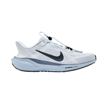 Nike Air Zoom Pegasus 41 EasyOn (FQ7837-004)