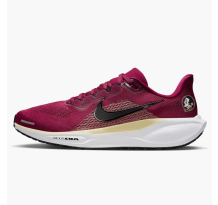 Nike Air Zoom Pegasus 41 Florida State Seminoles (IB3255-600)