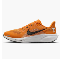 Nike Air Zoom Pegasus 41 Tennessee Volunteers (IB3253-800)