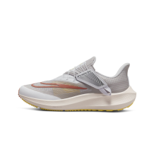 Nike Air Zoom Pegasus FlyEase 39 (DJ7383-500)