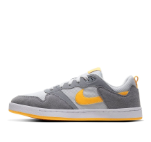 Nike Alleyoop SB Particle University Gold (CJ0882-002)