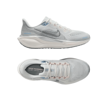Nike Pegasus 41 (FD2723-007)