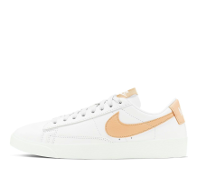 Nike Blazer Low LE Canvas (AV9370-117)