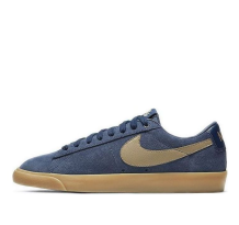 Nike Blazer Low SB GT (704939-403)