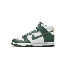 Nike Dunk High Australia GS (DV7072-300)