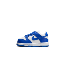 Nike Dunk Low (FB9107-131)
