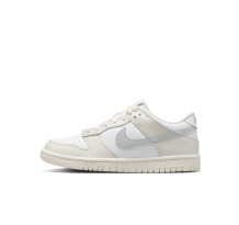 Nike Dunk Low GS (FB9109 109) in weiss