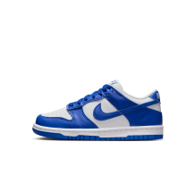 Nike Dunk Low (FB9109-131)