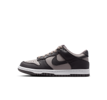 Nike Dunk Low (FB9109-203)