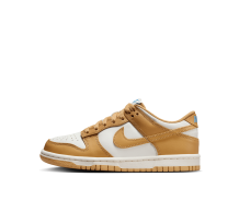 Nike Dunk Low (FB9109-700)