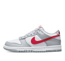 Nike Dunk Low Grey GS (DV7149 001)