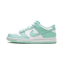 Nike Dunk Low GS (FZ3534 100)