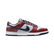 Nike Dunk Low (HF5441-003)