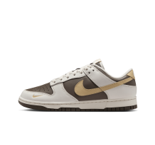 Nike Dunk Low (HM9655-001) in grau