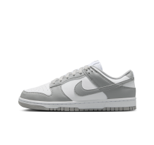 Nike Dunk Low Next Nature (DD1873-113)