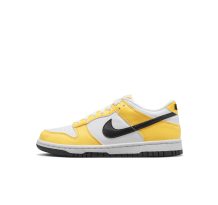 Nike Dunk Low Next Nature GS (FN3807-800)