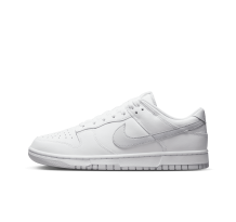 Nike Dunk Low Retro (DV0831 101)