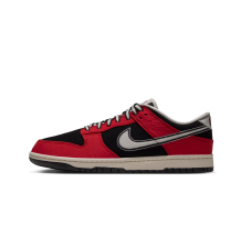 Nike Dunk Low Retro (IQ0157-001)
