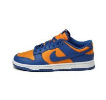 Nike Dunk Low Retro (DV0833 800) in blau