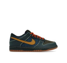 Nike Dunk Low (IH4042-364)