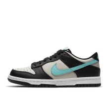 Nike Dunk Low GS Tiffany (CW1590-003)