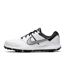 Nike Durasport 4 Wide Metallic Silver (844551-100)