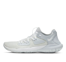 Nike Flex 2019 RN (AQ7483-100)