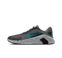 Nike Flex Train (HV9972-009)