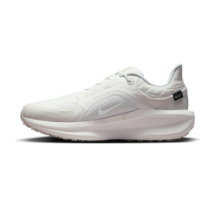 Nike Air Winflo 11 Tex Gore (FQ1358-101)