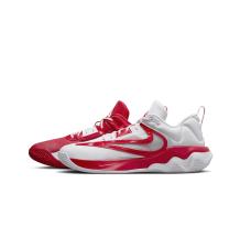 Nike Giannis Immortality 3 ASW (FV4057-600)