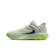 Nike Giannis Immortality 4 (FQ3680-007)