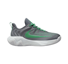 Nike Giannis Immortality 4 GS (FZ6734 002)