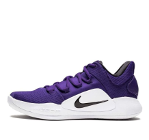 Nike Hyperdunk X Low TB Court (AR0463-500)